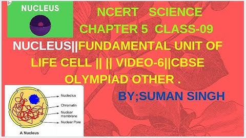 NUCLEUS||FUNDAMENTAL UNIT OF LIFE CELL ||CLASS 9 SCIENCE CH-5 || VIDEO-6||CBSE OLYMPIAD OTHER .