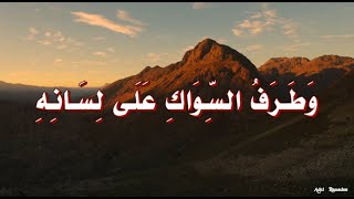 حديث  :  دخلت على النبى  –   صلى الله عليه وسلم – وطرف السواك على لسانه