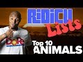 Ridicu-Lists: Top Ten Animals