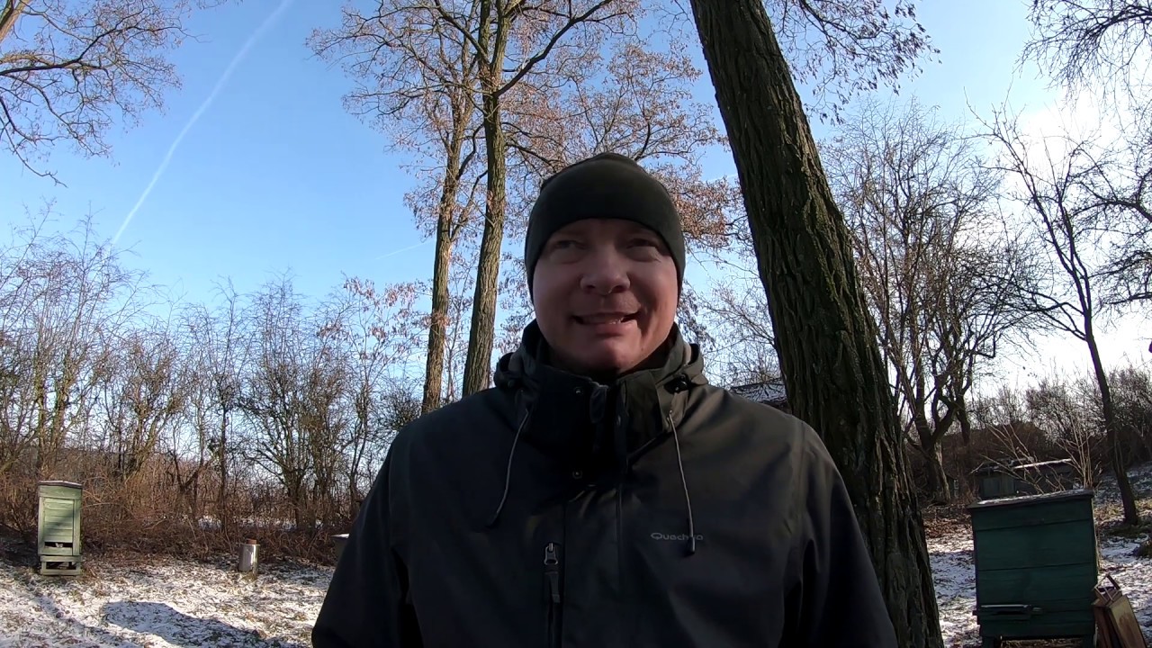 #21 Jak zacząć z pszczołami? - Cz. 2. Skąd wziąć pszczoły?