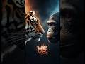 WHO WILL WIN? TIGER vs CHIMPANZEE | Epic Boxing Showdown 🥊🐅🐒 #animalworld #animal #tiger#boxing