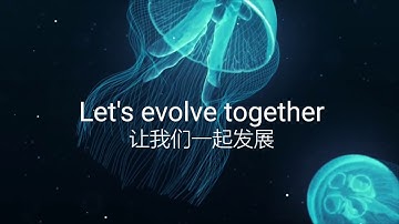 FAST Quantum Efficiency Measurement System