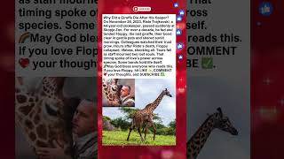 Giraffes Loss Breaks Zoo Hearts