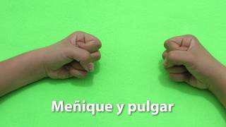 Ejercicios cerebrales (Brain Gym): Meñique y Pulgar