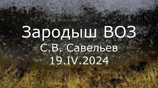 С.В. Савельев - Зародыш ВОЗ