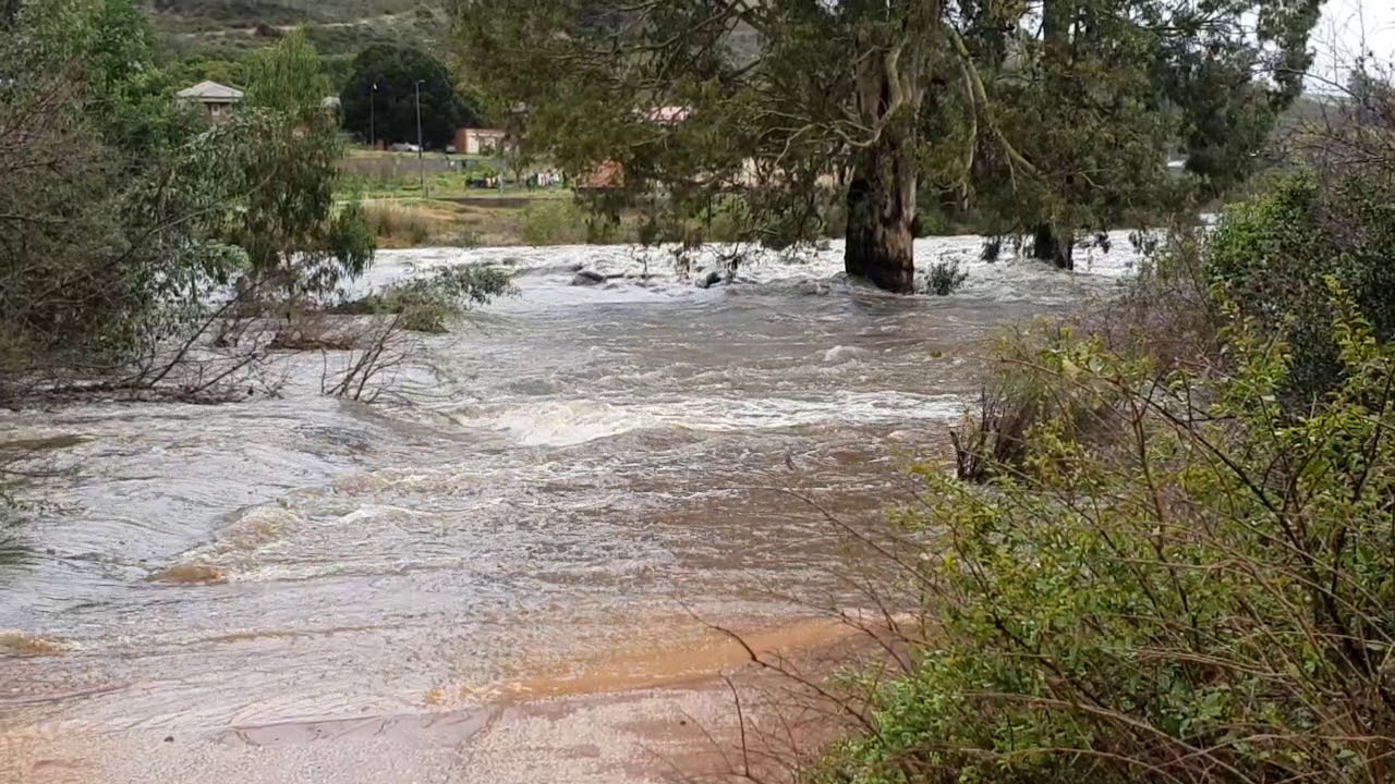 Assegaaibosch, Kareedouw