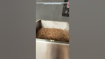 TOPSORT mini color sorter sorting coffee bean in UAE #machine #color sorter