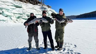 картинка: На рыбалку за трофеями. Бурейское водохранилище 24-25 февраля.