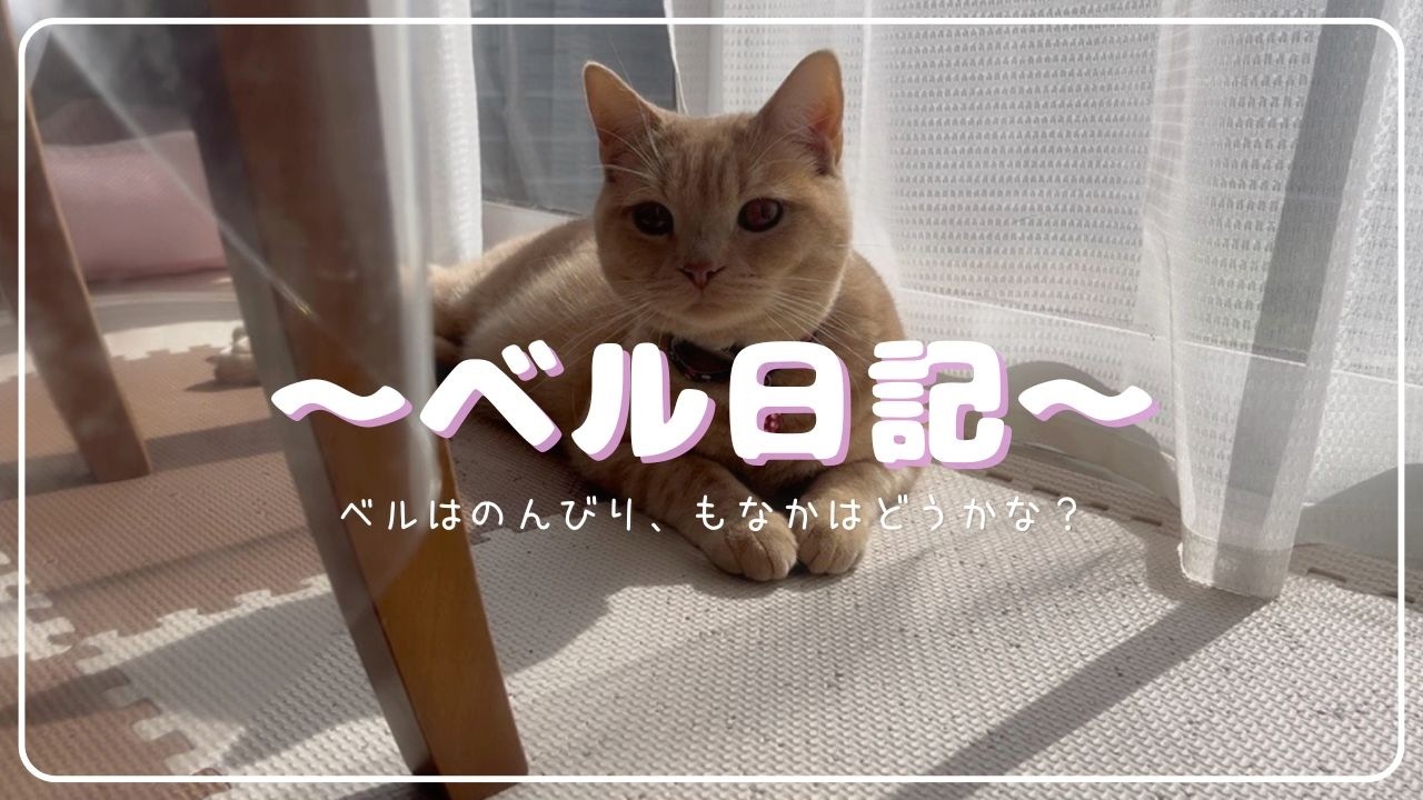 今日も元気！！のんびりゆったり過ごせた日？？