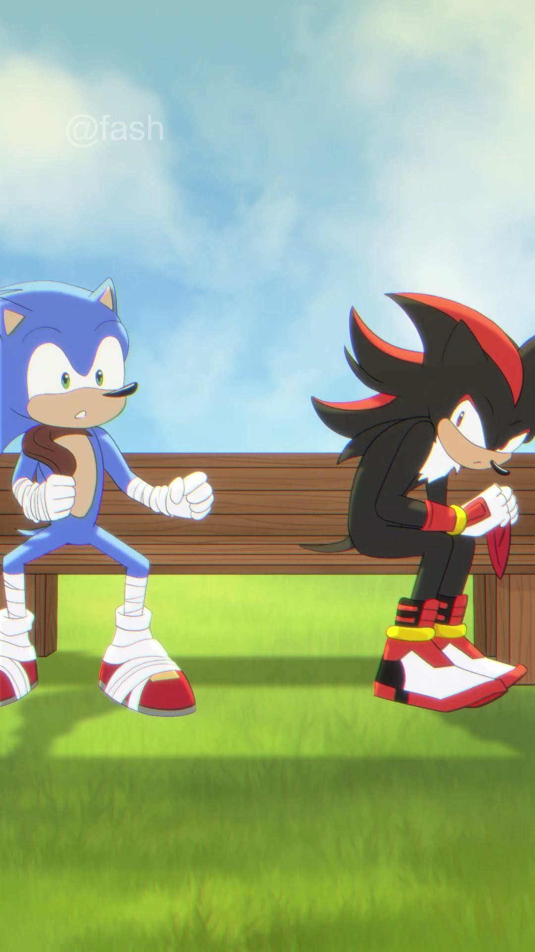POV Sonic and Shadow (Sonic the Hedgehog)