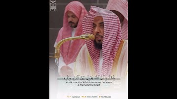 ﴿ياأَيُّهَا الّذينَ آمَنُوا استَجيبوا لِلَّهِ وَلِلرَّسول﴾ من سورة الأنفال.. الشيخ عبدالله الجهني🤍.