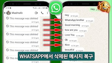 백업 없이 WhatsApp에서 삭제된 메시지를 복구하는 방법(2025) | WhatsApp 채팅 복원