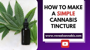 How to Make a SIMPLE Cannabis Tincture (THC or CBD)