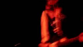 The Members Live In Berlin