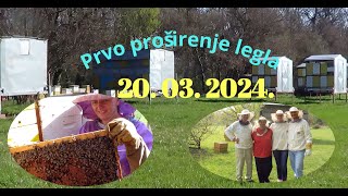 20. 03. 2024 Prvo Proširenje Legla - Pčelarstvo Ivančević