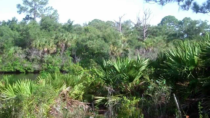 Lester Finley Trail at Oscar Scherer State Park