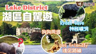 【湖區自駕遊】帶狗狗周遊Windermere｜絕美隱世礦洞｜遊船河坐蒸汽火車｜水族館有水獺？｜交通攻略｜ Dog-friendly Lake District Trip [Eng CC] screenshot 4