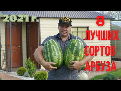 Лучшие сорта арбуза 2021