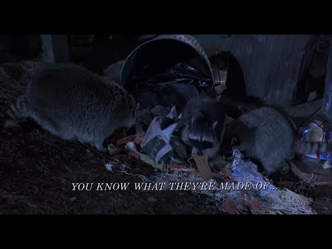 Download The Great Outdoors (1988) The Raccoons