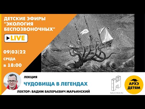Детский эфир Вадима Марьинского "Чудовища в легендах" курса "Экология беспозвоночных"