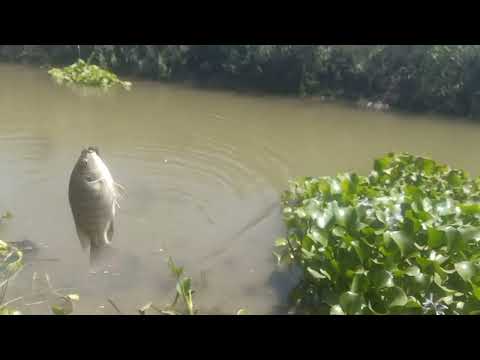 خد بالك مين اللي جاي