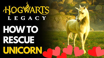 How to Rescue Unicorn in Hogwarts Legacy