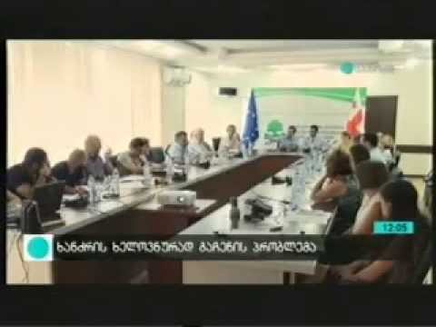 MOE: სამინიტროში ხანძრის ხელოვნურად გაჩენის პრობლემაზე იმსჯელეს