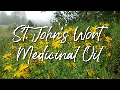 Medicinal St. John's Wort Oil | Skin Medicine