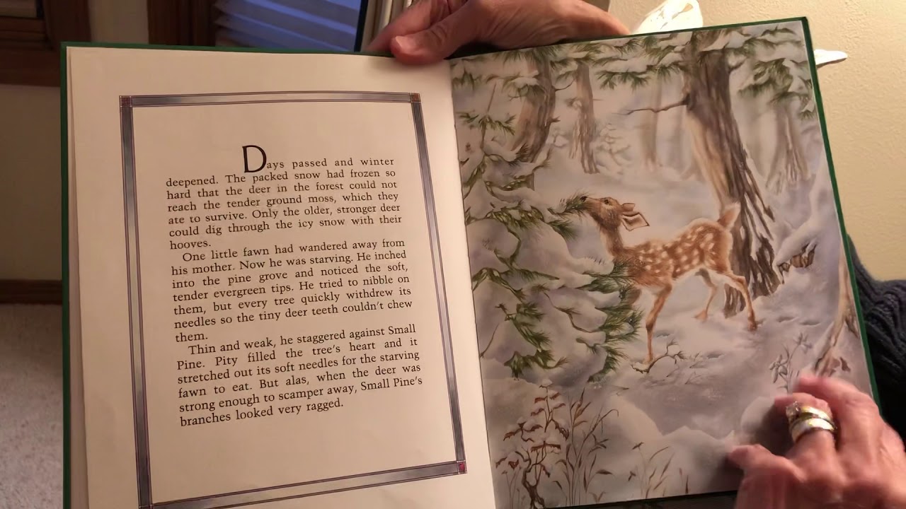 Why Christmas Trees Aren’t Perfect YouTube