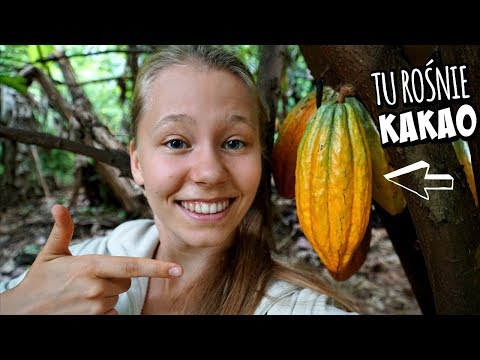 Wideo: Jak Nazywa Się Owoc, Który Rośnie Na Tahiti I Pozwala żyć 100 Lat
