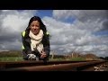 Liz Bonnin replicates how leaves affect trains - Bang Goes The Theory: Series 8 Episode 7 - BBC One