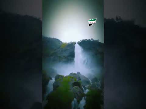 يخرب بيتك أنيسة على الخلفة الخسيسة كلمات جديدة 