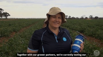 WaterWise: reducing the water footprint of high value crops