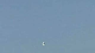 Thewingsmaker J-10B