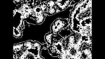 Large selection of totalistic cellular automata