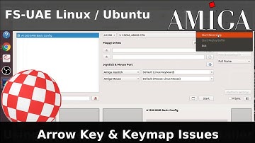 AMIGA Emulation 06: Arrow keys not recognised & fix key layout FS-UAE / Win-UAE. Fix Tutorial Guide