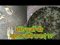 How to Raise Insects At Home ||  चूजों की खुराक कैसे बनाएं ?