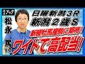 【競馬ブック】松永篤ＴＭの推奨馬（新潟２歳ステークス・日曜新潟3Ｒ 2019年8月25日）