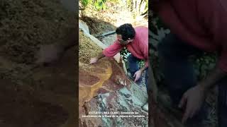Estudio de Linea clave. Simulando las condiciones de la finca del Joyuca en Cantabria