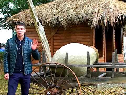 შოთა წურწუმია - ღორონთს მარდის ქიმუჩინა (მეგრული ლექსი)