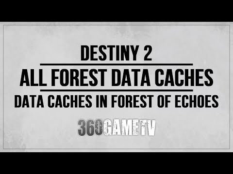 All Data Caches