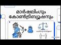 മാർഷലിംഗും കോൺട്രിബ്യൂഷനും (The Doctrines of Marshalling and Contribution)