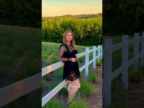 ليلي علوي قلبي بيلمح طيفه   السلطان نور