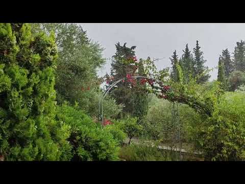 thunderstorm in sivota
