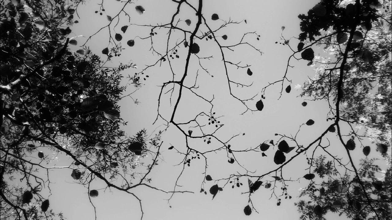 Stephan Moccio - Fracture Stephan Moccio - Fracture