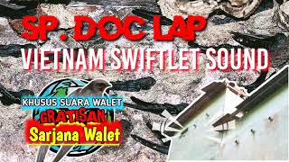 🔴DOWNLOAD Sp. độc láºp Suara Walet VIETNAM! TOP Musim WALET KAWIN