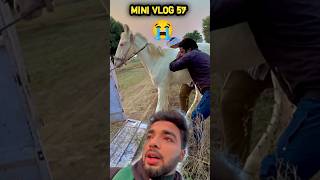 Hera Ko Jbardasti Kennel Se Bhej Diya