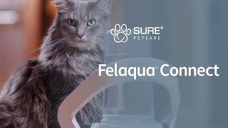 Felaqua™ Connect from Sure Petcare