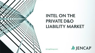 Intel on the Private D&O Liability Market screenshot 4