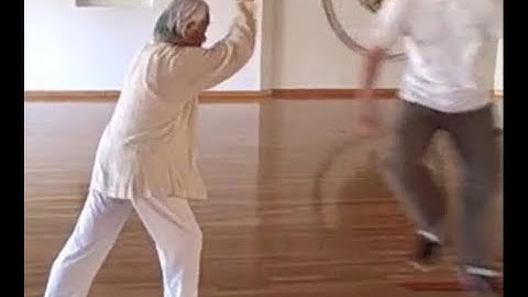 Yang Style Taiji Push Hands Application of Peng, Lü, Ji, An